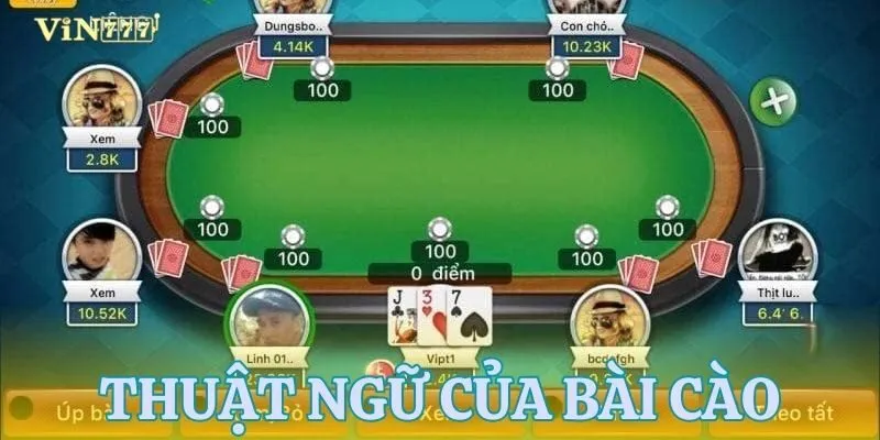 Các thuật ngữ quan trọng trong bài cào