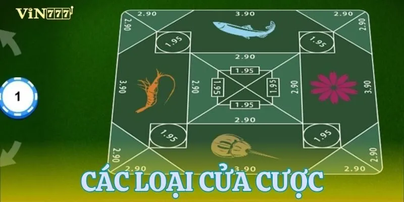 Hiểu các cửa cược theo luật chơi Belangkai chi tiết