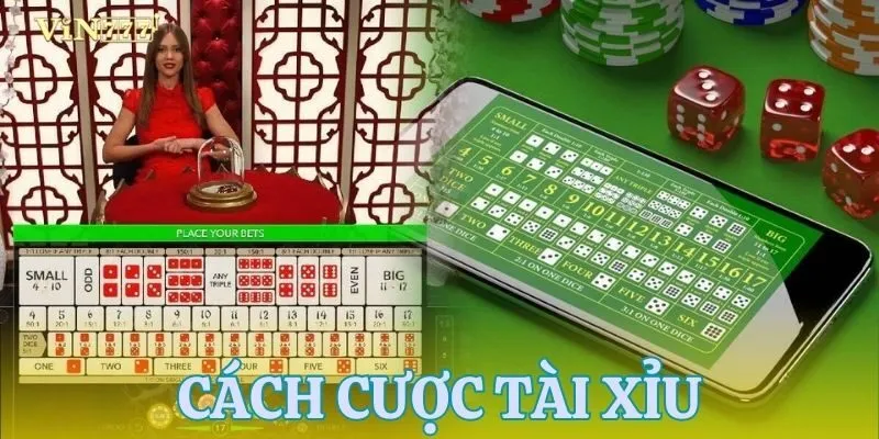 Cách đặt cược tài xỉu và các cửa cược phổ biến