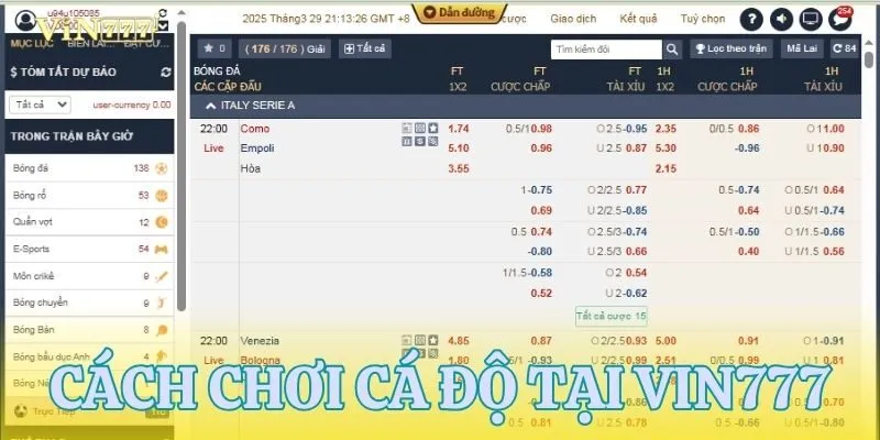 Nên chơi cá cược thể thao tại VIN777