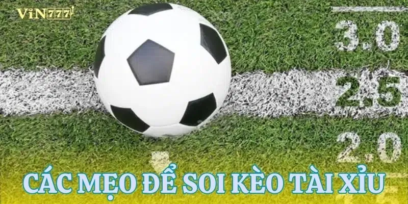 Tổng hợp các mẹo soi kèo tài xỉu 2 trái