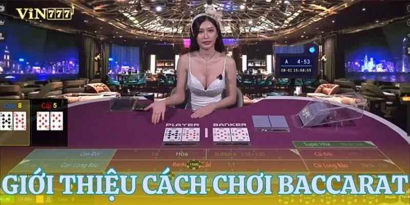 Tổng quan về cách chơi Baccarat cho tân binh